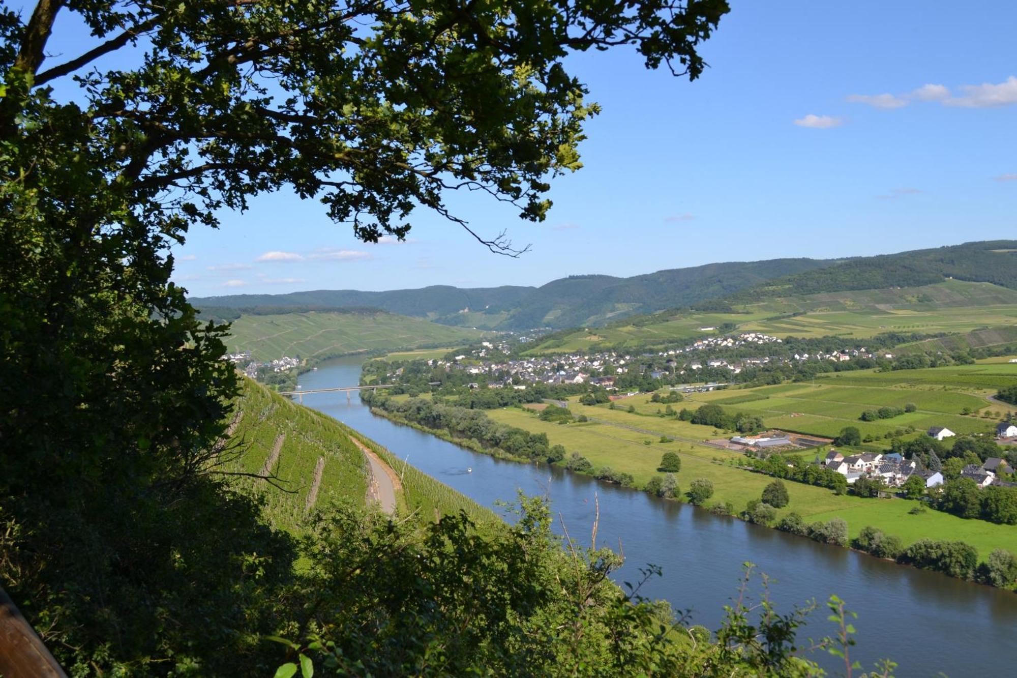 Weingut Mathy-Schanz Osann-Monzel ภายนอก รูปภาพ