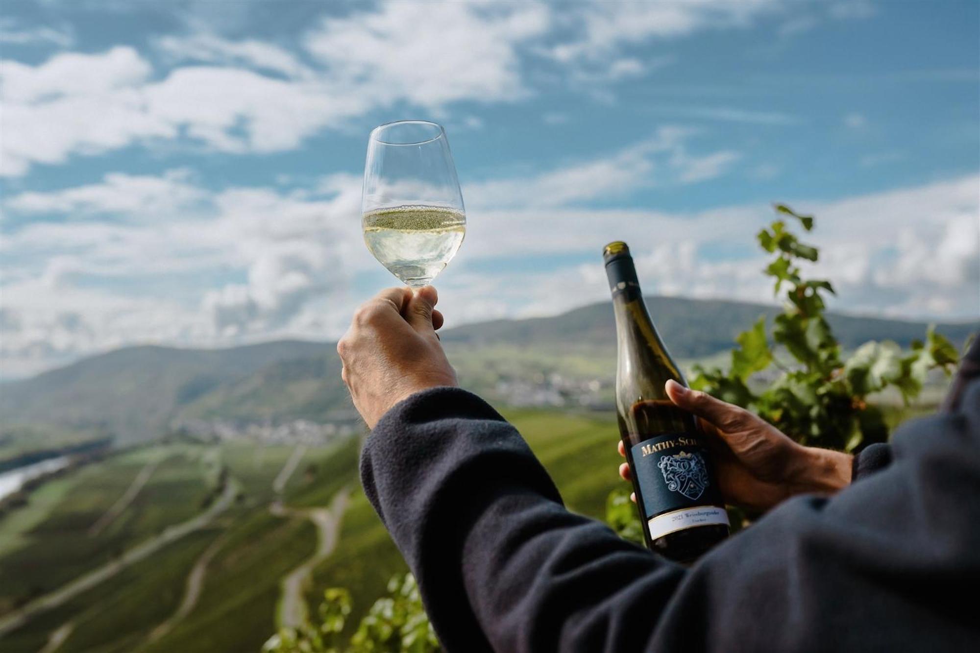 Weingut Mathy-Schanz Osann-Monzel ภายนอก รูปภาพ