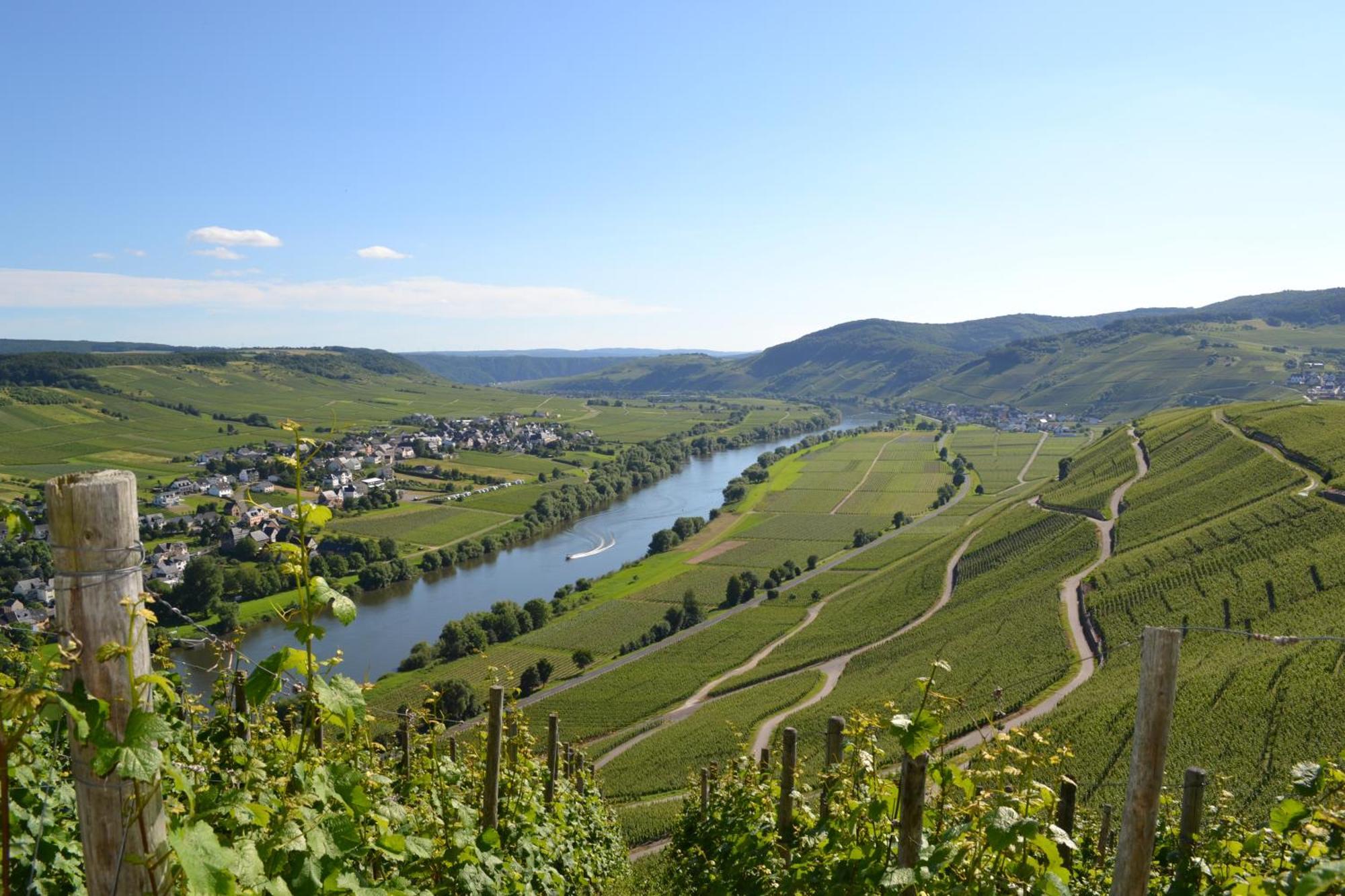 Weingut Mathy-Schanz Osann-Monzel ภายนอก รูปภาพ