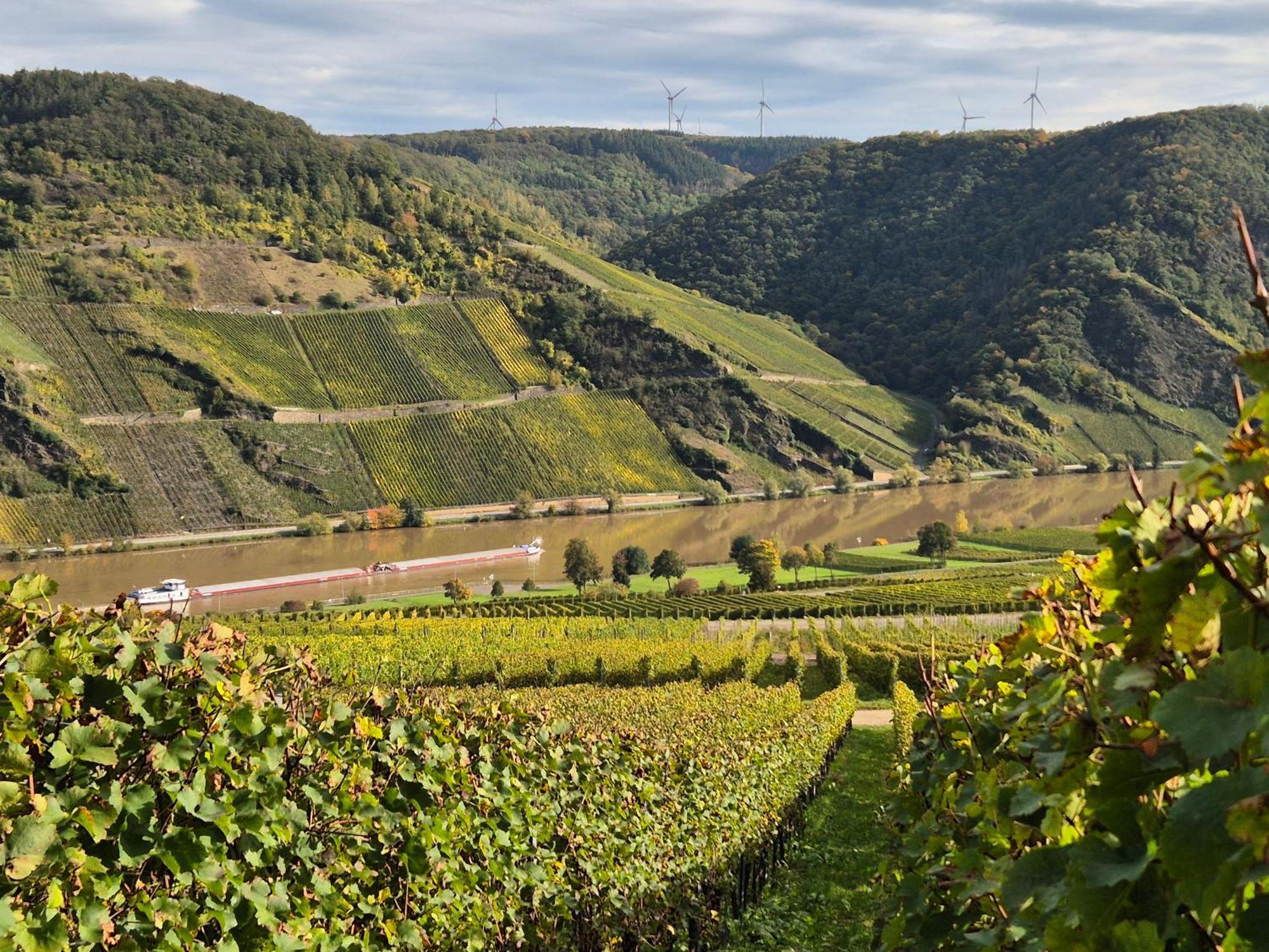 Weingut Mathy-Schanz Osann-Monzel ภายนอก รูปภาพ