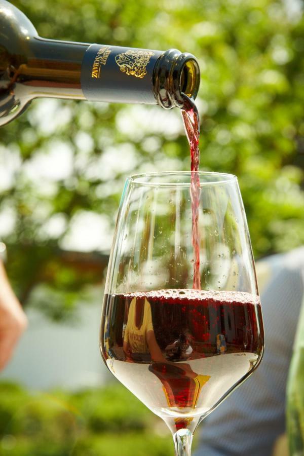 Weingut Mathy-Schanz Osann-Monzel ภายนอก รูปภาพ